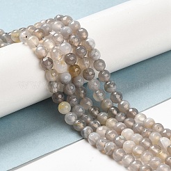 Chapelets de perles en agate à rayures naturelles/agates à bandes&nbsp;G-A246-8mm-02