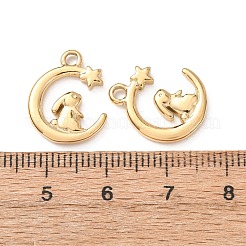 Colgantes de acero inoxidable 304&nbsp;STAS-C184-03G