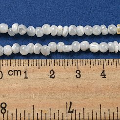 Hebras de cuentas de concha de trochus natural&nbsp;SSHEL-H072-13B