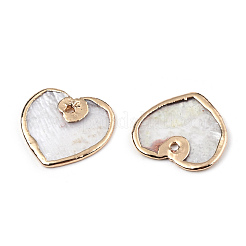 Natürliche Capiz Shell Charms&nbsp;SSHEL-N034-130B-01