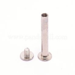 Schnappnietschraube aus Kohlenstoffstahl&nbsp;LS-STAS-WH0022-24L-P