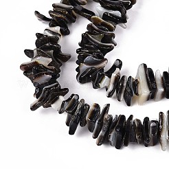 Natur schwarz Lippe Shell Perlen Stränge&nbsp;SSHEL-N040-17
