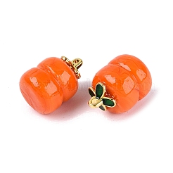 Manuelle Bunte Malerei Anhänger & Charms&nbsp;LAMP-N042-14A