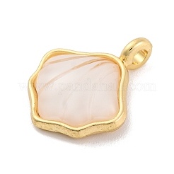 Pendentifs en résine d'alliage&nbsp;FIND-U007-13G