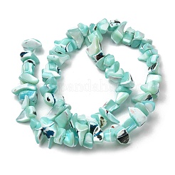Chapelets de perles de coquille de trochid / trochus coquille&nbsp;SHEL-B003-02K