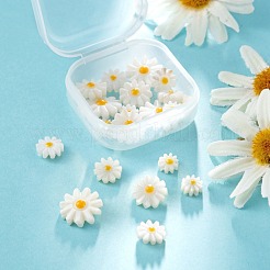 20pcs 4 natürliche Süßwasser-Muschelperlen&nbsp;SHEL-LS0001-03