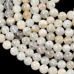 Naturelles perles pierre de lune blanc brins&nbsp;G-C277-A01-8mm