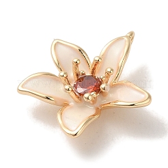 Ciondoli smaltato in ottone&nbsp;KK-S368-13G-02