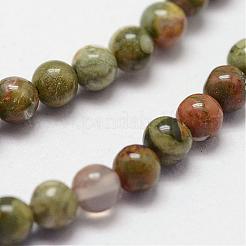 Natur Rhyolith Jaspis Perlen Stränge&nbsp;G-N0183-01-3mm