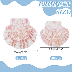 2 estilos de concha natural&nbsp;SSHEL-WR0001-06B