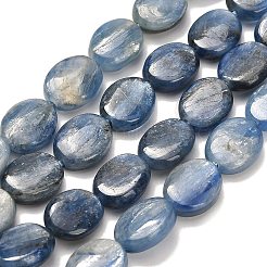 Natürliche kyanite Perlen Stränge&nbsp;G-H335-D01-8x10mm