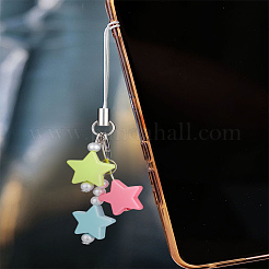 1pc résine avec alliage et cordon en nylon accessoires de décoration mobile&nbsp;HJEW-LP0002-12E