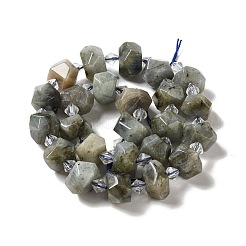 Perline labradorite naturale fili&nbsp;G-E578-03
