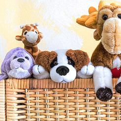30 Satz Sicherheitsnasen aus Kunststoff für Hunde&nbsp;FIND-GO0002-17B