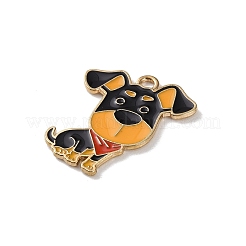 Pendentifs d'émail en alliage&nbsp;FIND-I047-01KCG-04