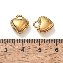 Breloques en acier inoxydable 304&nbsp;SA-CBAE5AC-25G