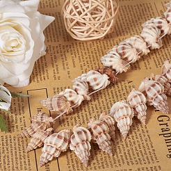 Spiralmuschelperlen&nbsp;BSHE-YW0001-02