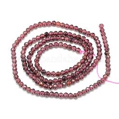 Granato naturale perline fili&nbsp;G-S152-03-2mm