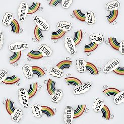 20 Paar geteilte Anhänger aus Emaille-Legierung&nbsp;PALLOY-NB0002-06P