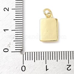 Colgantes de latón&nbsp;KK-L239-055G-01