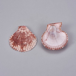 Perle di guscio&nbsp;SSHEL-WH0001-10
