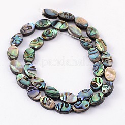 Natürliche Abalone Muschel / Paua Muschel Perlen Stränge&nbsp;SSHEL-G003-8-6x10mm