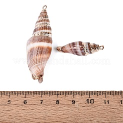 Pendentifs en coquillage spiralé naturel plaqués électrolytique&nbsp;SSHEL-Q100-27KCG
