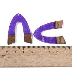 Colgantes de resina & madera&nbsp;WOOD-F015-16A