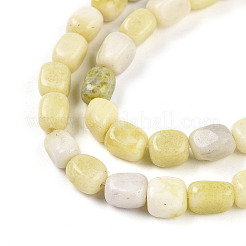 Natürliche Jade Perlen Stränge&nbsp;G-N346-04A-13