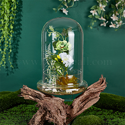 Couvercle de dôme en verre&nbsp;DJEW-WH0099-06C