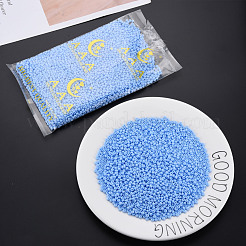 6/0 perles de rocaille en verre&nbsp;SEED-T005-14-B20