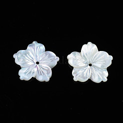 Perles de coquillage blanc naturel&nbsp;SSHEL-N027-131B-01