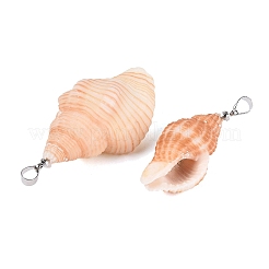 Pendientes de concha de caracol naturales&nbsp;SHEL-Q029-31P