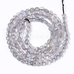 Perline labradorite naturale fili&nbsp;G-R462-008