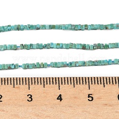 Natur hubei türkisfarbenen Perlen Stränge&nbsp;G-G271-G05-1x1.5mm