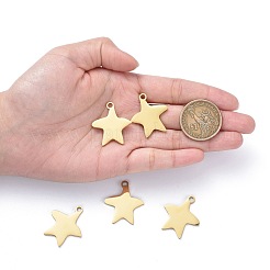 Pendentifs en acier inoxydable 304&nbsp;LS-STAS-I140-13G