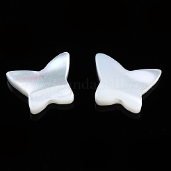 Natürliche Trochidschale / Trochusschalenperlen&nbsp;SSHEL-N034-115