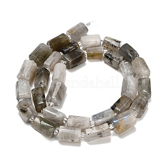 Natur Labradorit Perlen Stränge&nbsp;G-F836-B06-01