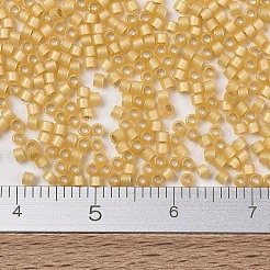 Miyuki Delica Perlen&nbsp;SEED-X0054-DB2186