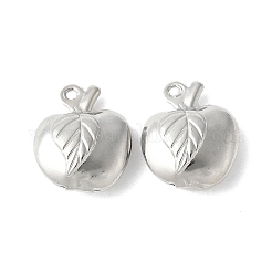 Messing Anhänger & Charms&nbsp;FIND-B046-04G