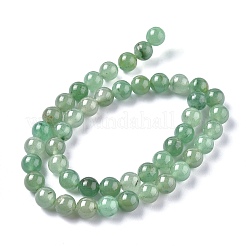 Chapelets de perles en aventurine vert naturel&nbsp;G-Q462-8mm-20A