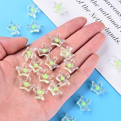 Perles en acrylique transparente&nbsp;MACR-S373-105-B06