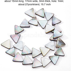 1 Strang natürliche schwarze Lippenmuschelperlenstränge&nbsp;SHEL-BC0001-012