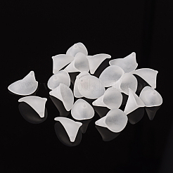 Protezioni tallone acrilico smerigliato&nbsp;PAF011Y-1