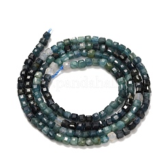 Chapelets de perles en tourmaline naturelle&nbsp;G-L634-D01-2.5x2.5mm-C