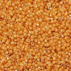Perles miyuki delica&nbsp;SEED-X0054-DB2045