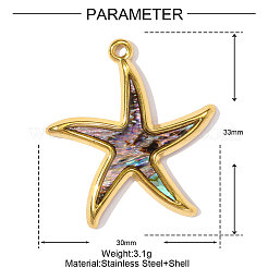 304 Edelstahl-Paua-Muschelanhänger&nbsp;STAS-OY002-26G