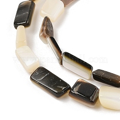 Natur schwarz Lippe Shell Perlen Stränge&nbsp;SHEL-R100-01A