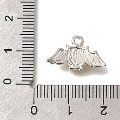 Messing Anhänger & Charms&nbsp;FIND-C065-24P