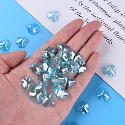 Pendentifs en acrylique transparent &nbsp;MACR-S373-106-C01